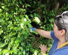 Confira os cuidados necessários para prevenir a dengue nas férias