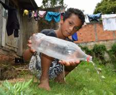 Programa Família Paranaense entra na guerra contra o Aedes aegypti