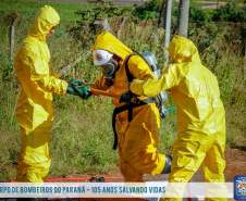 Atuação rápida do Corpo de Bombeiros em caso de vazamento de Produto Perigoso