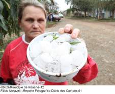 Município de Reserva