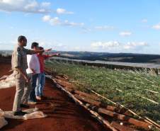 Fortes ventos trouxeram prejuízos na cidade de Marilêndia do Sul.