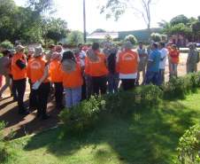 MUTIRÃO DENGUE LONDRINA