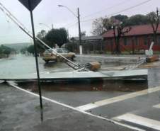Ocorrência em Pinhão