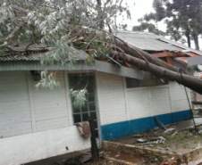 Ocorrência em Pinhão