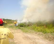 Formação de Brigada de Incêndios