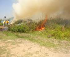 Formação de Brigada de Incêndios