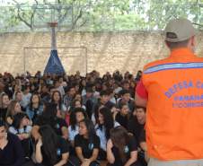 Brigada Escolar