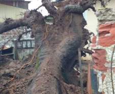 Temporais no Paraná