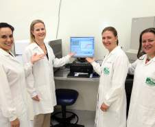 A Secretaria de Estado da Saúde apresentou nesta sexta-feira (5) a nova tecnologia utilizada pelo Laboratório Central do Estado (Lacen-PR) para o diagnóstico simultâneo de dengue, zika e chikungunya. Pioneiro no país, o Teste para Diagnóstico Molecular de Arboviroses Metodologia Multiplex, em uso desde o dia 3 de fevereiro, amplia a capacidade de análise do Lacen de 60 para 1.400 exames semanais. 