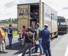 Os estados do Paraná, Santa Catarina, Rio Grande do Sul, Mato Grosso do Sul e São Paulo promoveram nesta quinta-feira (10), de forma simultânea, uma operação de abordagem e fiscalização dos veículos que transportam produtos perigosos