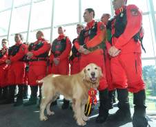O governador Carlos Massa Ratinho Junior entregou nesta segunda-feira (1º) medalhas de mérito às equipes do Corpo de Bombeiros, Polícia Militar, Polícia Científica e Defesa Civil que ajudaram nas operações de busca e salvamento em Brumadinho, Minas Gerais. - Curitiba, 01-04-19.  -  Foto: Rodrigo Félix Leal/ANPr