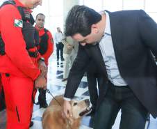 O governador Carlos Massa Ratinho Junior entregou nesta segunda-feira (1º) medalhas de mérito às equipes do Corpo de Bombeiros, Polícia Militar, Polícia Científica e Defesa Civil que ajudaram nas operações de busca e salvamento em Brumadinho, Minas Gerais. - Curitiba, 01-04-19.  -  Foto: Rodrigo Félix Leal/ANPr