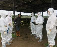 Simulado de defesa agropecuária