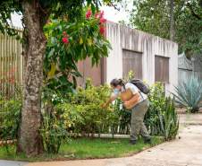 Gincana Todos contra a Dengue 