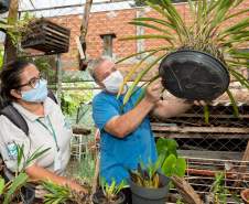 Gincana Todos contra a Dengue 