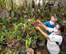 Gincana Todos contra a Dengue 