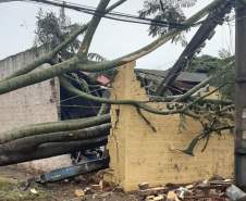  Temporais deixam mais de 1,2 mil casas destelhadas no Paraná