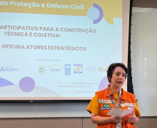 Defesa Civil Estadual participa de Oficina de Atores Estratégicos em Brasília