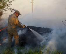 VFogo: conheça a plataforma tecnológica de vigilância de incêndios do Simepar