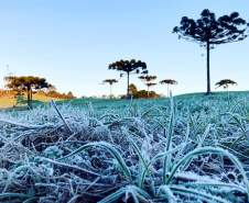 Simepar prevê inverno com poucas ondas de frio, veranicos, nevoeiros e geadas