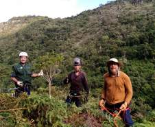 Dia do Voluntário: órgãos estaduais estimulam trabalho espontâneo em diferentes áreas