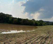 Paraná investe R$ 8 milhões em nova plataforma para aprimorar alertas de desastres naturais