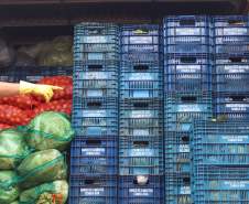 Ceasa-PR envia mais de 25 toneladas de alimentos para cidades afetadas pelas chuvas