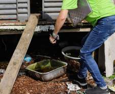 Paraná, Mato Grosso do Sul e São Paulo vão promover ações conjuntas contra a dengue