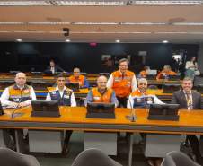 Reunião Comitê Desastres Câmara dos Deputados