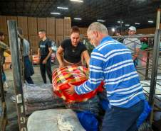 Governo do Paraná quer instituir Rede de Ajuda Humanitária com abrangência nacional