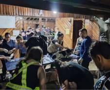 Paranaenses atendem mais de mil animais resgatados em hospital veterinário no RS