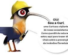 Com novo mascote, Paraná inicia campanha de prevenção de incêndios florestais