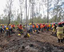 IAT capacita 65 voluntários para atuar em incêndios em Unidades de Conservação