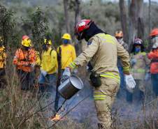 IAT capacita 65 voluntários para atuar em incêndios em Unidades de Conservação