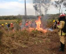 IAT capacita 65 voluntários para atuar em incêndios em Unidades de Conservação