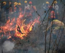 IAT capacita 65 voluntários para atuar em incêndios em Unidades de Conservação