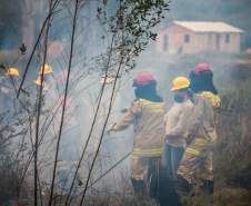 IAT capacita 65 voluntários para atuar em incêndios em Unidades de Conservação