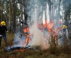 IAT capacita 65 voluntários para atuar em incêndios em Unidades de Conservação