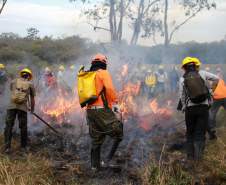 IAT capacita 65 voluntários para atuar em incêndios em Unidades de Conservação