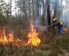 IAT capacita 65 voluntários para atuar em incêndios em Unidades de Conservação