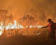 Governo do Paraná libera fundo de R$ 5 milhões para municípios em situação de emergência