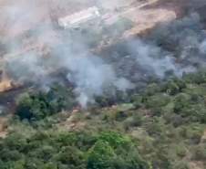 Avião contratado pelo Estado é acionado para combater incêndio florestal em Palmeira