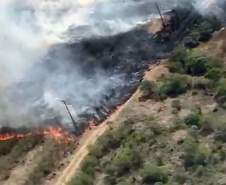 Avião contratado pelo Estado é acionado para combater incêndio florestal em Palmeira