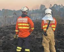 Aviões contratados pelo Estado reforçam combates a dois incêndios em Ponta Grossa