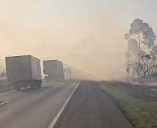 Aviões contratados pelo Estado reforçam combates a dois incêndios em Ponta Grossa