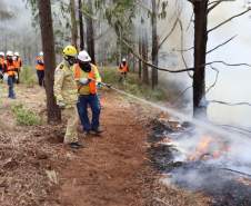 Governo do Paraná conclui capacitação de 540 brigadistas florestais em 100 municípios