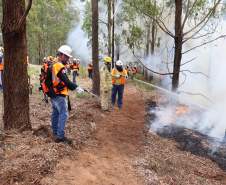 Governo do Paraná conclui capacitação de 540 brigadistas florestais em 100 municípios