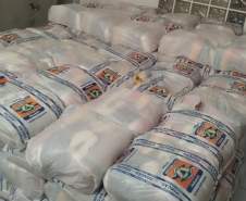 Com 5 decretos homologados, Defesa Civil reforça orientações sobre pedidos emergenciais