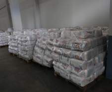 Com mais de mil desalojados e desabrigados, governo e municípios preparam abrigos