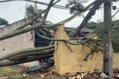  Temporais deixam mais de 1,2 mil casas destelhadas no Paraná